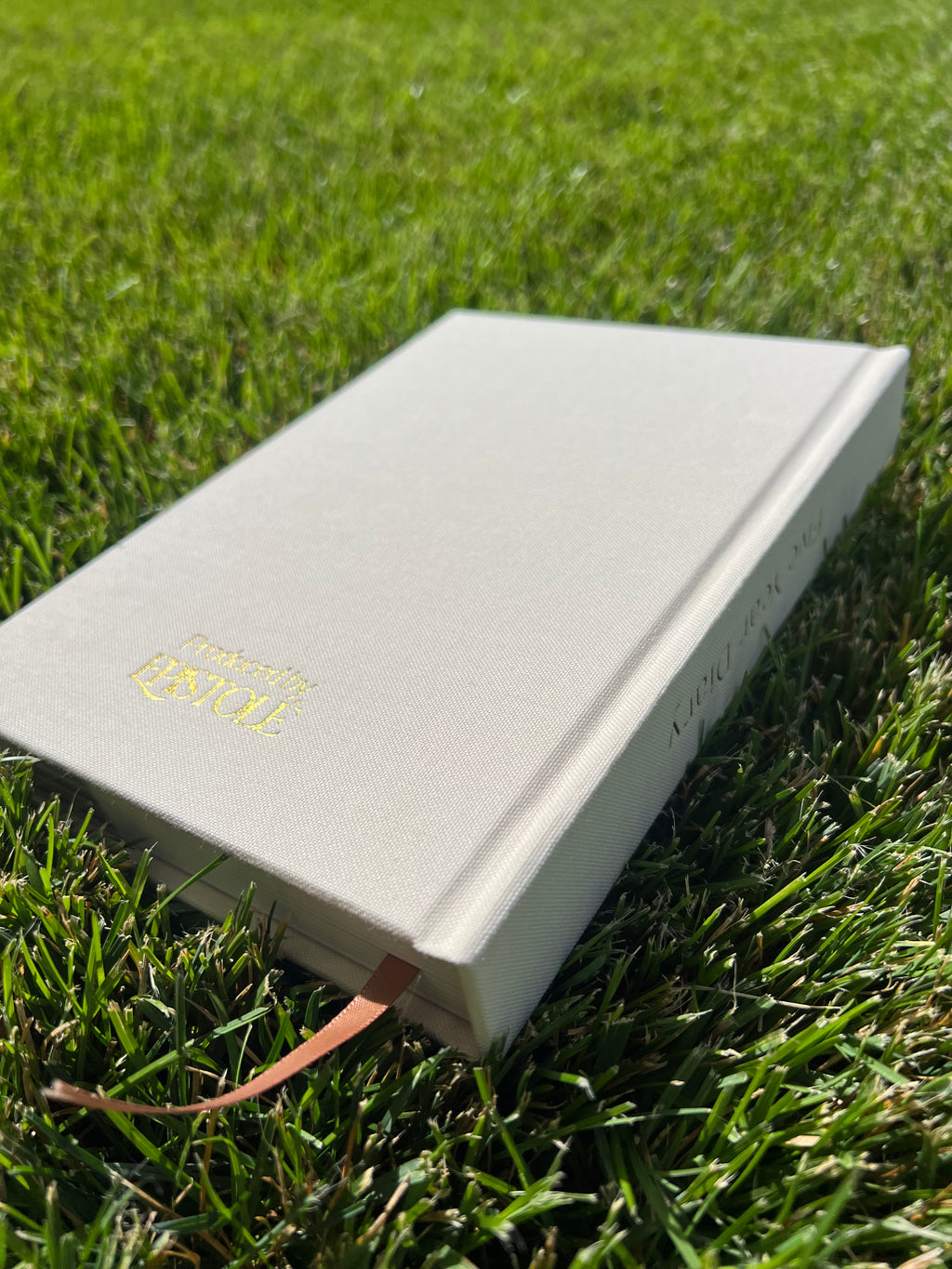 5 year journal - ivory