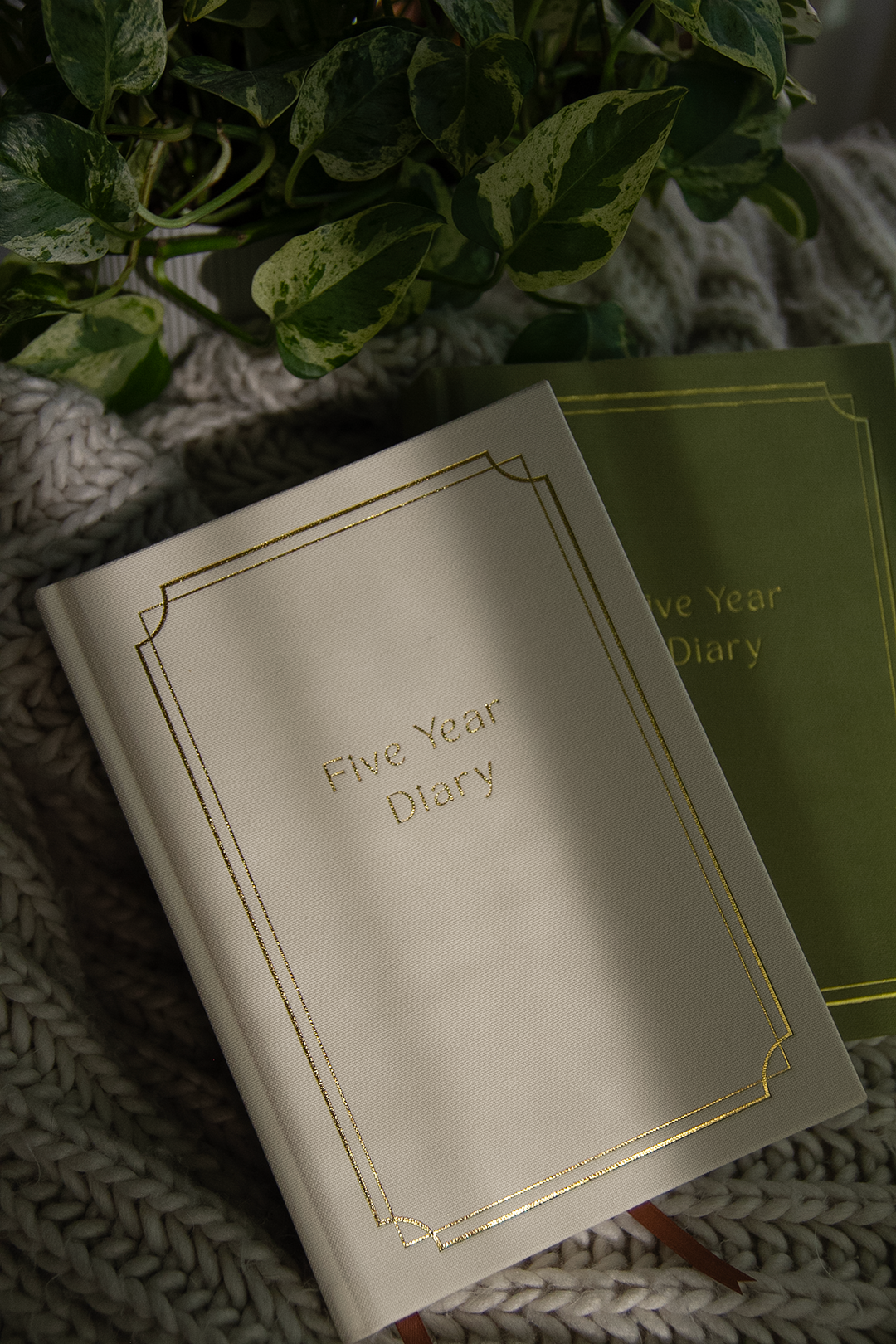 5 year diary Ivory- small printing imperfection