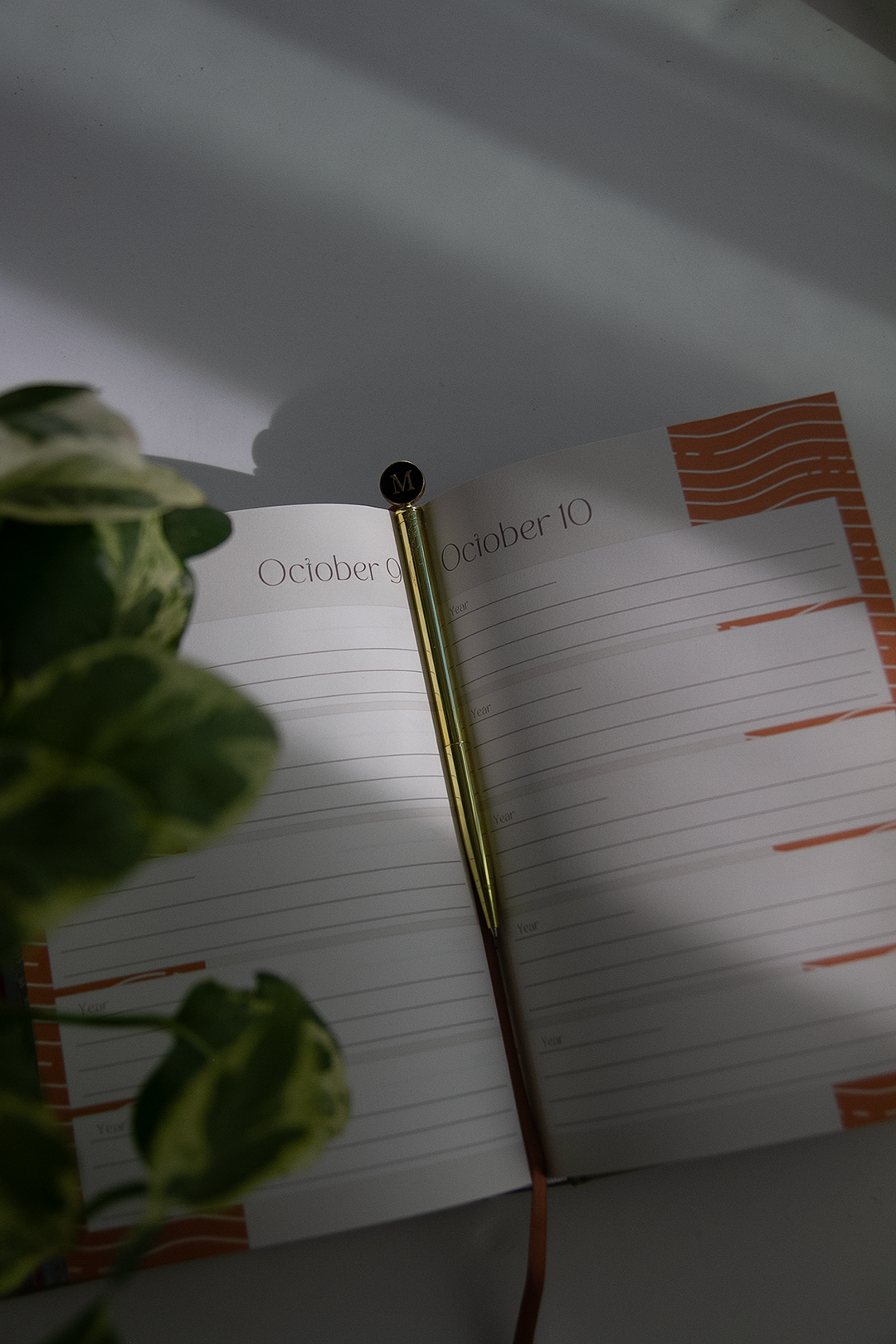 5 year diary Green- small printing imperfection